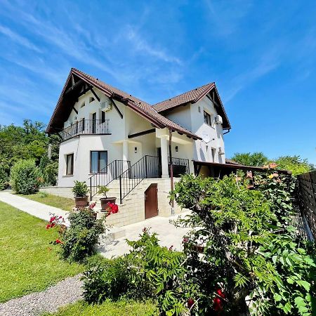 Hermesvilla Băile Felix Екстериор снимка