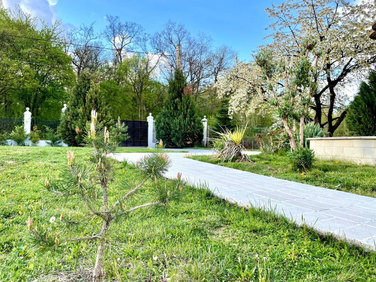 Hermesvilla Băile Felix Екстериор снимка